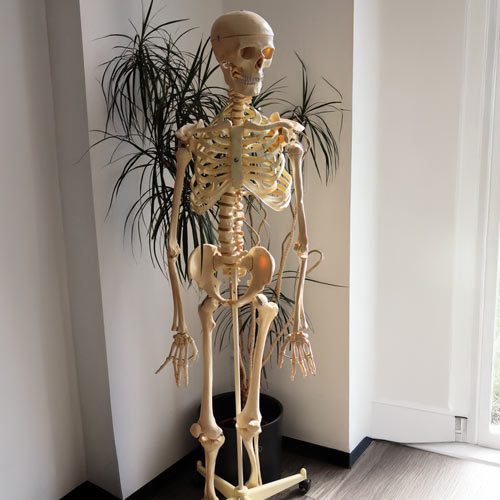 rehapoint-osteopathie-1